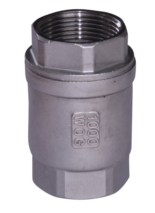 Vertical Check Valves