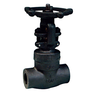 J61 Forging steel globe valve